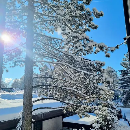 Pobeda M Appartamento